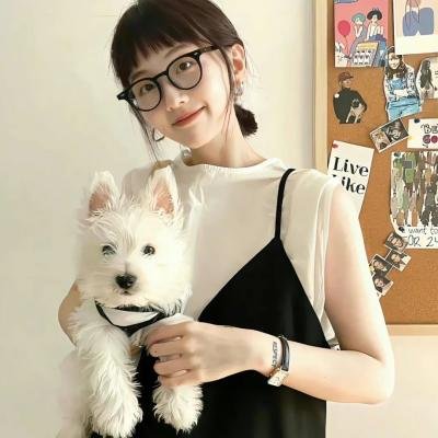 宁姆计划（纪录片）