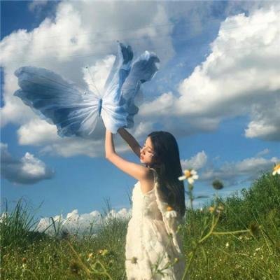 金三角之无法伤悲